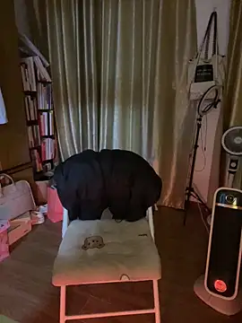 Snapshot of ruiki666 chatting on 03-02-26, 11:39 ruiki666 online show from 03-02-26, 11:39