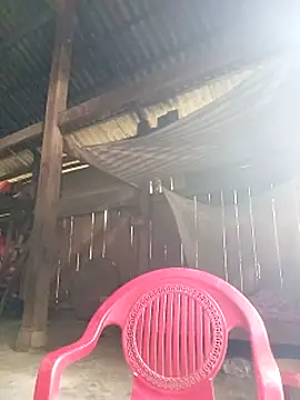 riso-00 online show from 10-21-25, 05:08