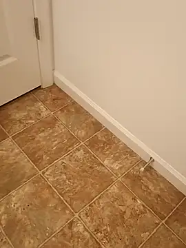 Dotado901xh online show from 04-13-26, 03:23