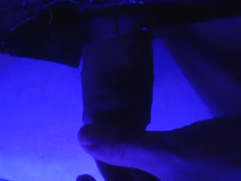 novinzs019 online show from 09-13-25, 05:29