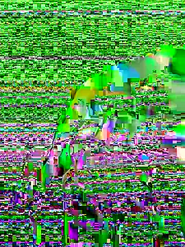 Snapshot of Sexyquerubin chatting on 10-08-25, 03:42 Sexyquerubin online show from 10-08-25, 03:42