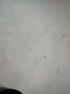 ndon63421 online show from 10-03-25, 02:58