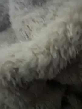 futsam653 online show from 11-12-25, 09:21