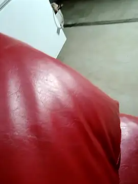 linameii online show from 01-11-26, 03:33