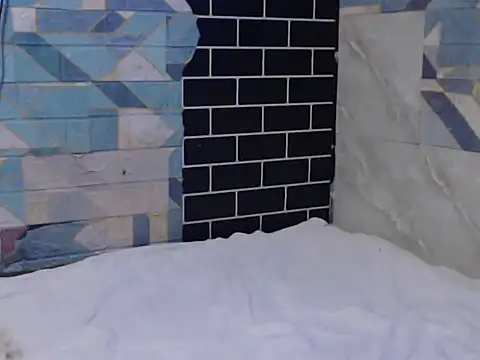 Newt4U online show from 11-11-25, 10:04