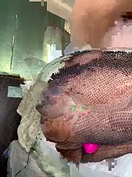 foreigntitts  online show from 03-20-26, 09:41