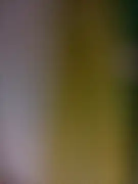 Snapshot of tulipsexy chatting on 02-19-26, 03:35 tulipsexy online show from 02-19-26, 03:35