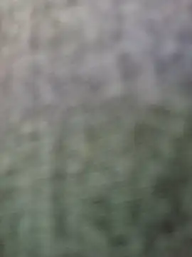 Snapshot of JeffersonRay chatting on 01-07-26, 01:52 JeffersonRay online show from 01-07-26, 01:52