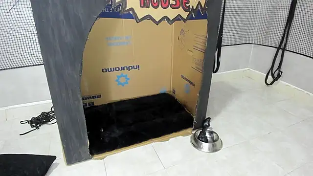 Snapshot of BDSM_MEDUZA chatting on 02-13-26, 03:24 BDSM MEDUZA online show from 02-13-26, 03:24