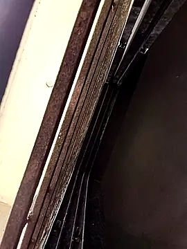 ipvk online show from 03-25-26, 05:13