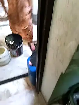 Cute-Charvii online show from 03-08-26, 02:48