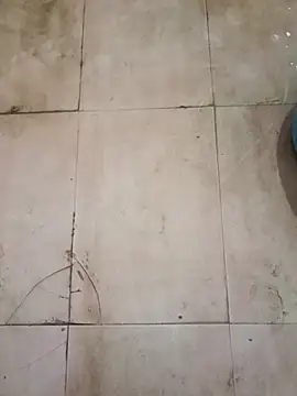 Snapshot of TeluguCuplehyd chatting on 09-20-25, 11:17 TeluguCuplehyd online show from 09-20-25, 11:17