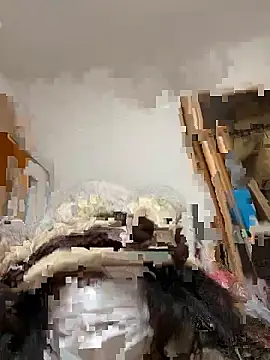 mino bitter online show from 02-12-26, 03:40