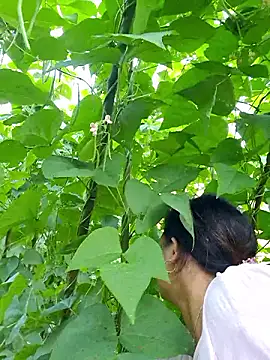 diamond-- online show from 10-05-25, 12:31