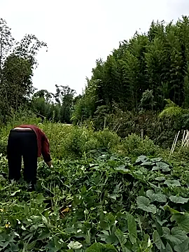 diamond-- online show from 06-28-26, 04:07