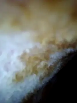 Snapshot of alone_boy802 chatting on 10-30-25, 06:26 alone boy802 online show from 10-30-25, 06:26