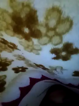 Snapshot of alone_boy802 chatting on 11-08-25, 07:30 alone boy802 online show from 11-08-25, 07:30