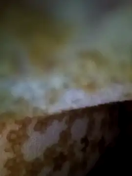 Snapshot of alone_boy802 chatting on 11-09-25, 01:15 alone boy802 online show from 11-09-25, 01:15