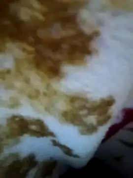 Snapshot of alone_boy802 chatting on 11-09-25, 04:49 alone boy802 online show from 11-09-25, 04:49