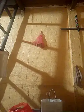 Snapshot of ruby-00 chatting on 09-24-25, 03:59 ruby-00 online show from 09-24-25, 03:59