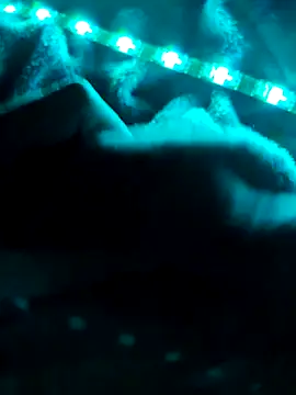 northboy91 online show from 10-01-25, 09:21