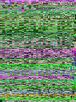 Snapshot of aoyo66 chatting on 11-05-25, 12:16 aoyo66 online show from 11-05-25, 12:16