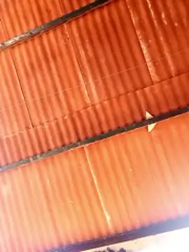 Goofygoody17 online show from 02-08-26, 10:29