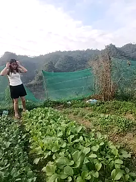 Meomeo-meo online show from 11-21-25, 08:35