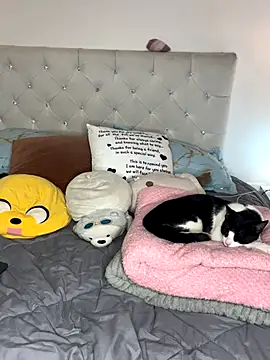 sunnymoonn 1 online show from 10-02-25, 08:05