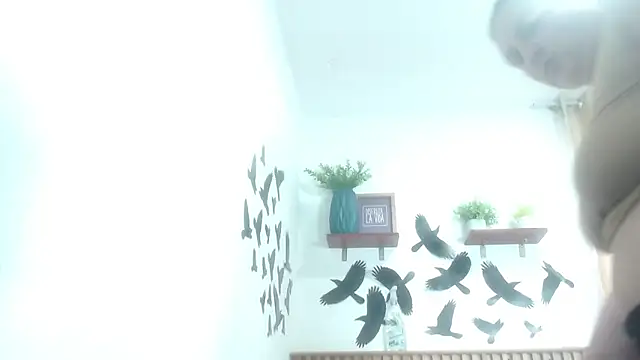 SweetRouse   online show from 11-19-25, 01:44