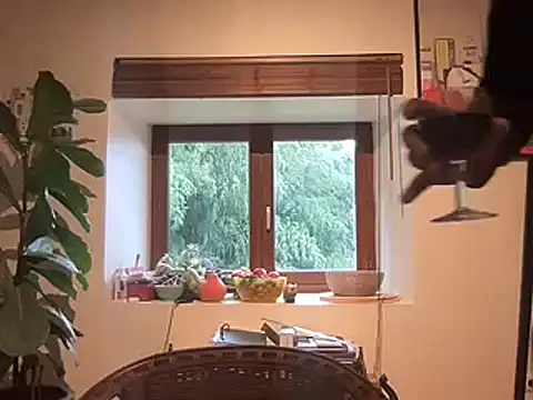 chtentation online show from 02-14-26, 02:03