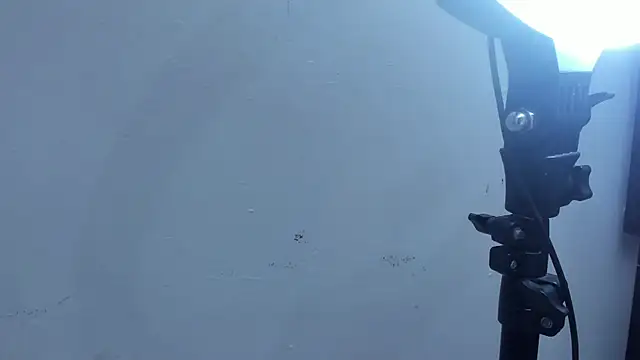 Kevinfox23cms online show from 11-11-25, 06:46