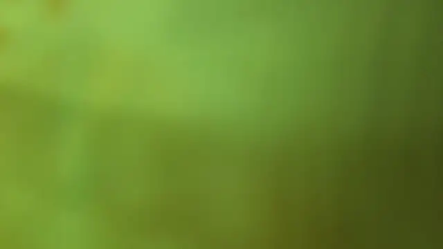 katiaa lovv online show from 06-17-26, 12:29
