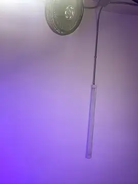 ChloeRosses online show from 03-06-26, 11:01