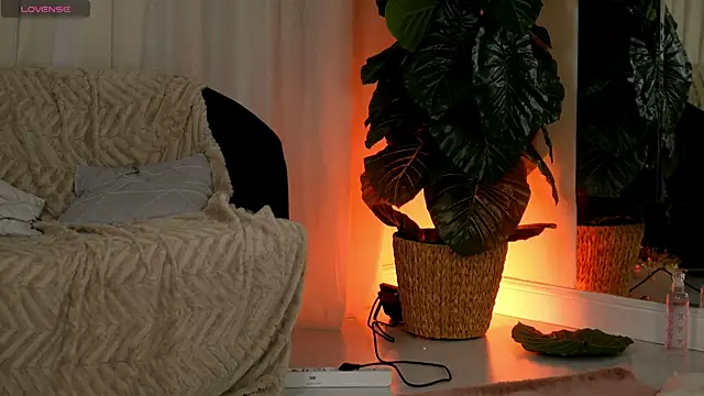 EvaAmanti online show from 01-11-26, 04:39