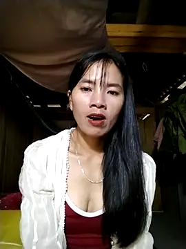 lmc-zz online show from 11-01-25, 01:29