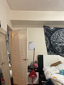 sexybriiiixoxo online show from 03-01-26, 04:47