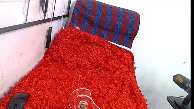 codorniz2025 online show from 01-08-26, 08:33