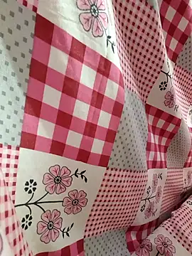 Snapshot of Your_seema_208 chatting on 10-04-25, 01:47 Your seema 208 online show from 10-04-25, 01:47