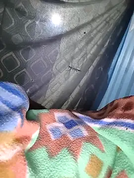 sam salman online show from 10-09-25, 06:17