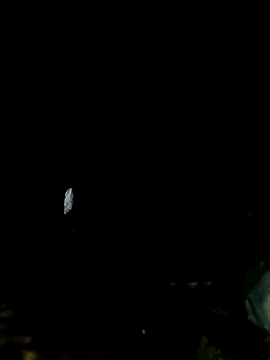 mntzz88 online show from 11-01-25, 11:07