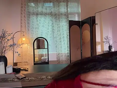 Snapshot of xiaowan_x chatting on 11-05-25, 07:52 xiaowan x online show from 11-05-25, 07:52