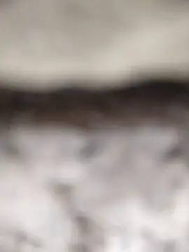 PEEHU-50 online show from 03-12-26, 02:18