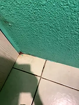 feetbooy online show from 12-22-25, 12:18