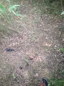 Snapshot of Aadityaaa07 chatting on 11-11-25, 05:40 Aadityaaa07 online show from 11-11-25, 05:40