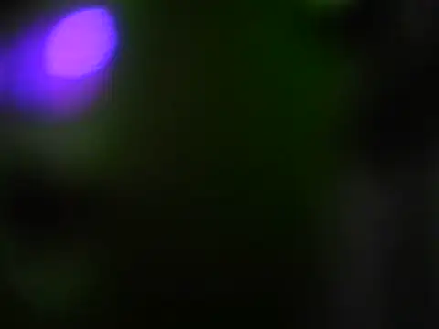 KissYoU41F online show from 06-25-26, 11:42