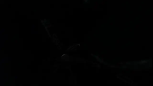 Snapshot of SteveDickson_ chatting on 10-14-25, 09:15 SteveDickson online show from 10-14-25, 09:15