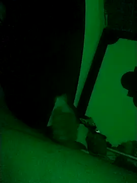 Snapshot of Buddha289 chatting on 02-22-26, 09:41 Buddha289 online show from 02-22-26, 09:41