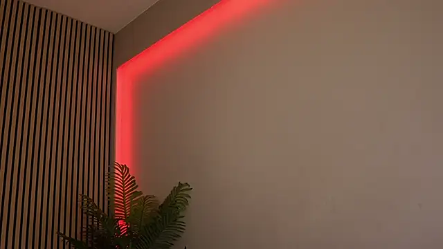 Snapshot of sisi_von_dee chatting on 11-11-25, 08:53 sisi von dee online show from 11-11-25, 08:53