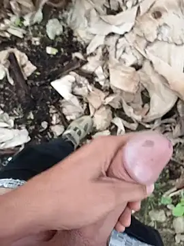 Snapshot of Sikici0734 chatting on 10-06-25, 04:43 Sikici0734 online show from 10-06-25, 04:43